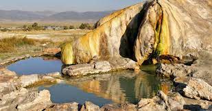 Snow Monkeys Adore Hot Springs As well! Discover Facts about Hot Springs