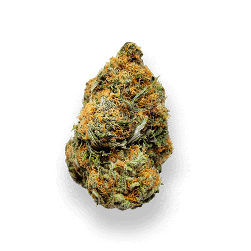 The weed delivery winnipeg can be a retail store authorized by the regulations for your operated flow of healthcare marijuana