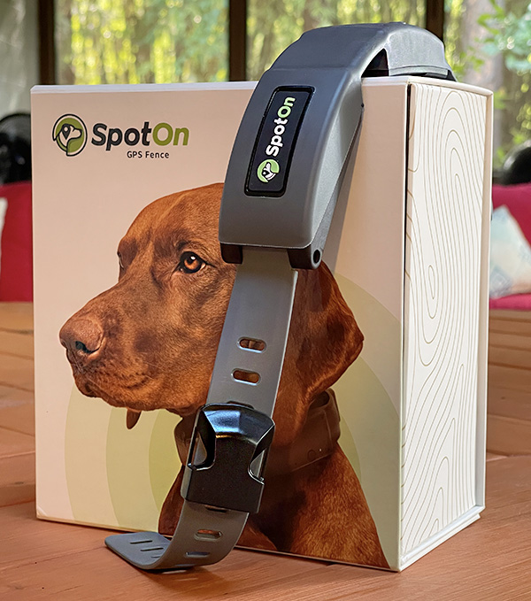 The Advantages of a Virtual Smart Fence for Dogs