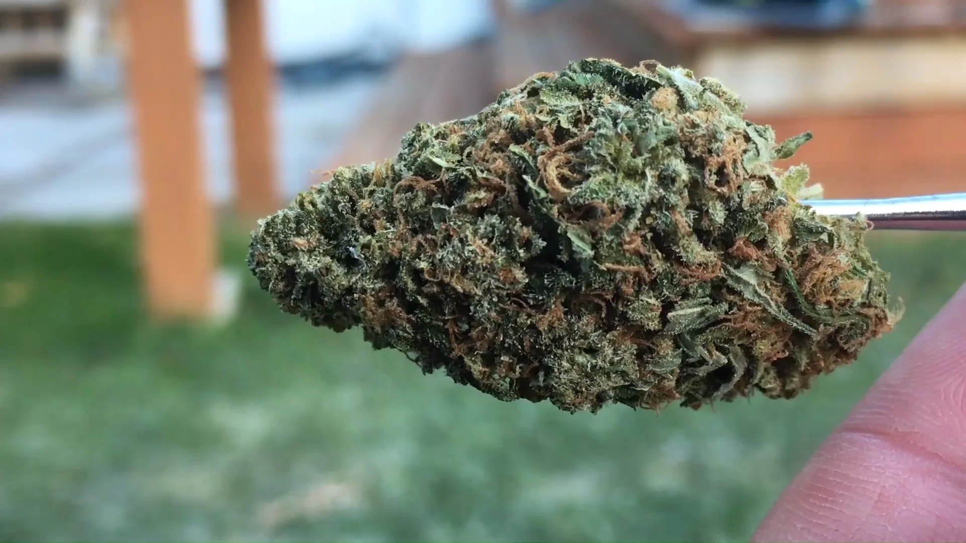 Order Weed Online With Free Shipping