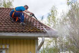 Hire the cleaning service and Eavestrough cleaning and improve the appearance of your house