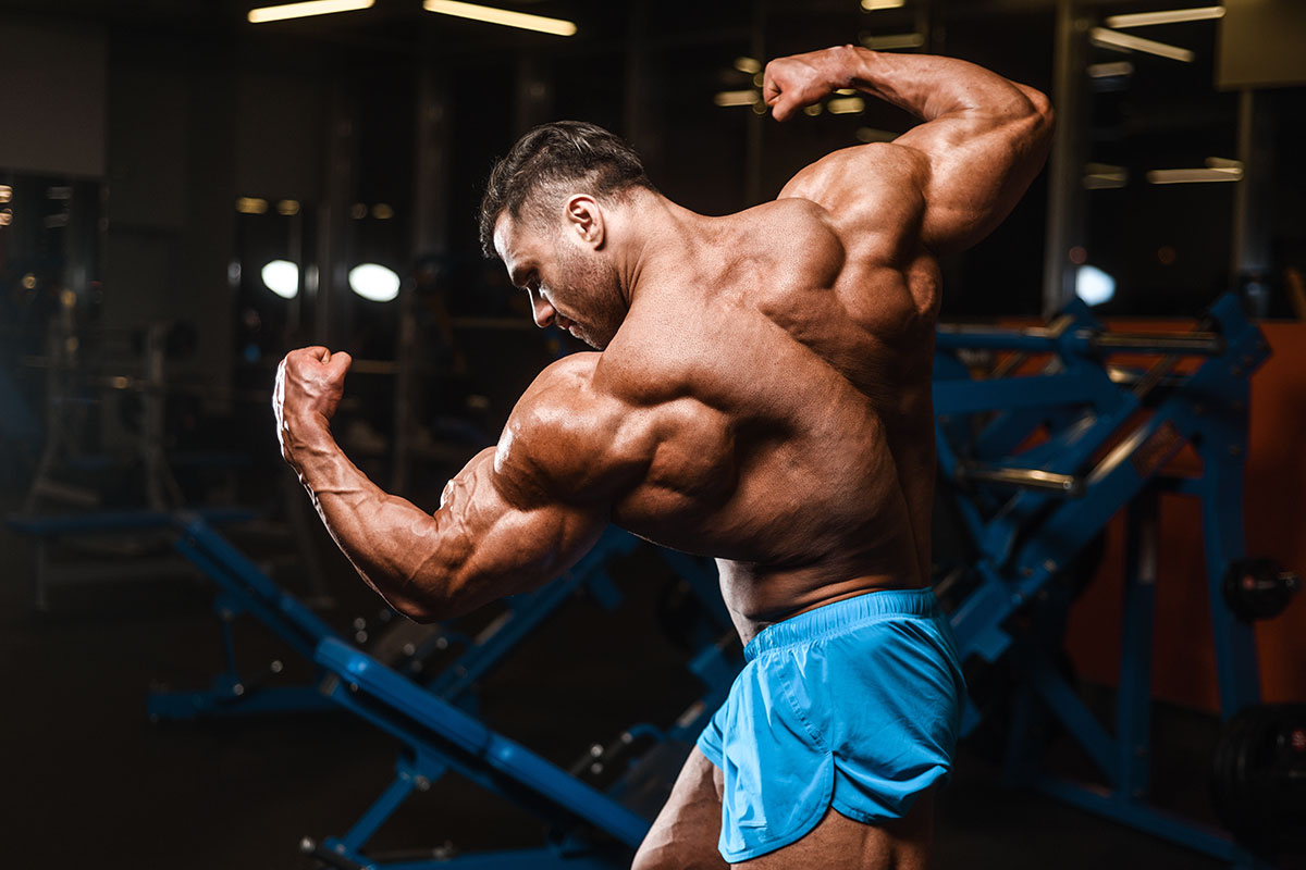 Sarms Romania With Multiple Benefit