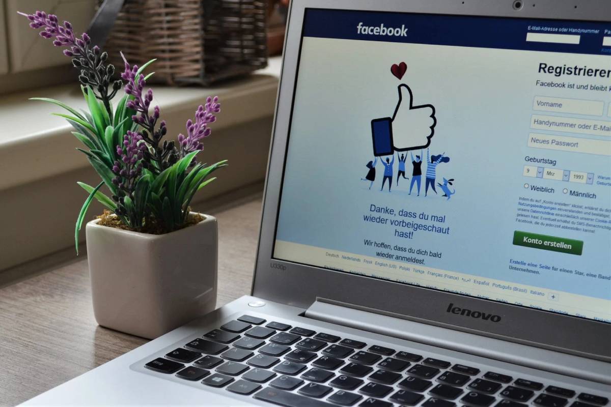 Preserve the assistance of the top for white-colored brand Seo solutions by showing up in the organization web site.