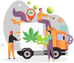 Find out what same-day weed delivery surrey excels at