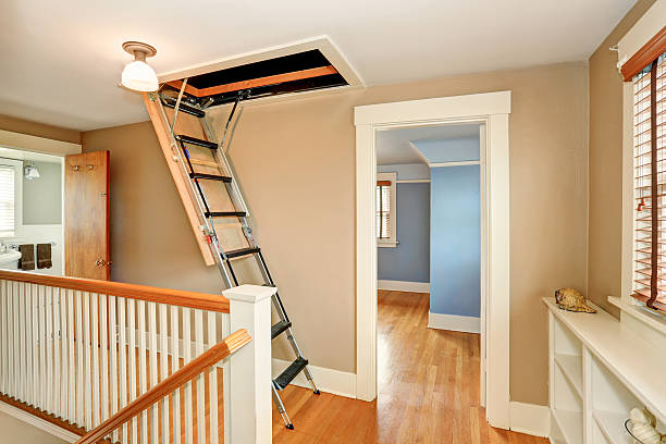 Exactly how much are you aware about loft ladders?