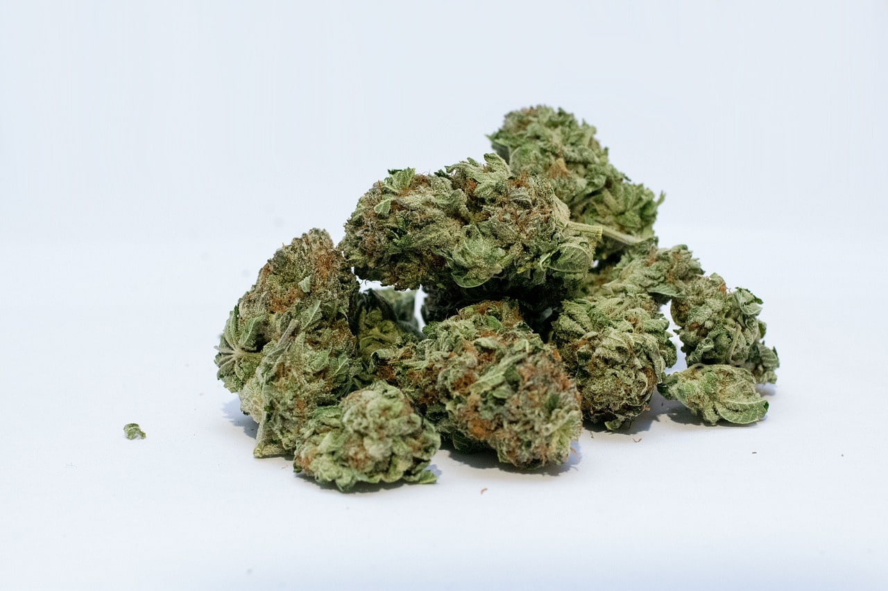 The Different Types of Marijuana and Their Effects