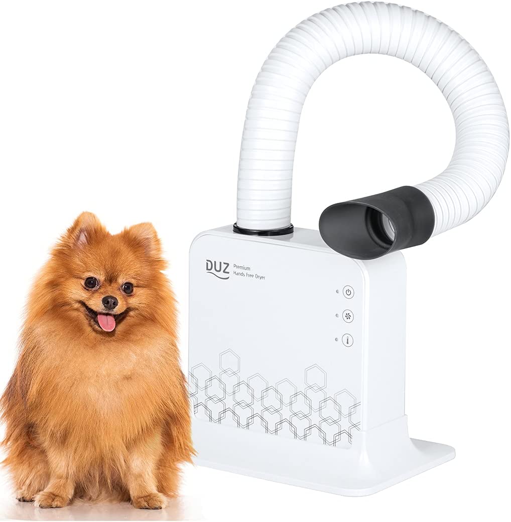 Reasons why you should use a dog hairdryer