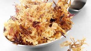 Sea Moss Gel: The Benefits of Using