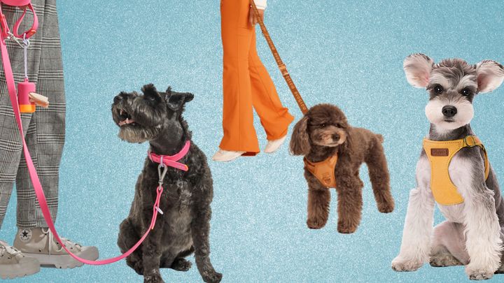 Exactly what are the best dog harnesses?