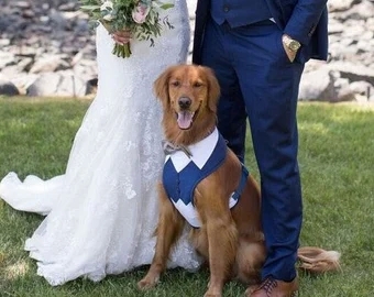 Is there anything on the market that is a perfect gift for dog lovers?